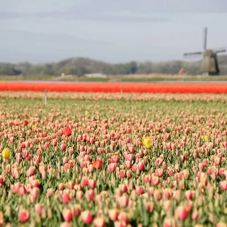 Casa vacanze 'flow' Bergen