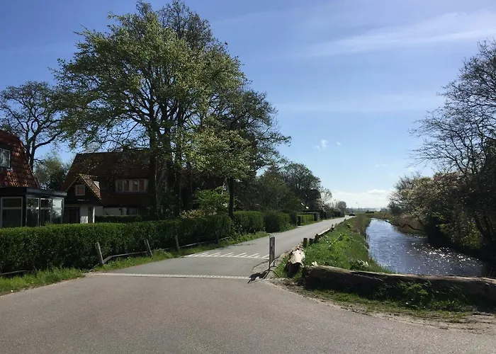 'flow' * ベルゲン