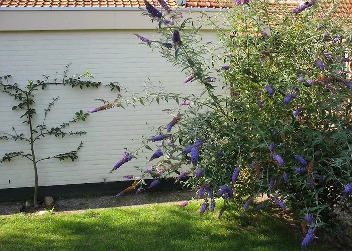 'flow' 度假居 卑尔根