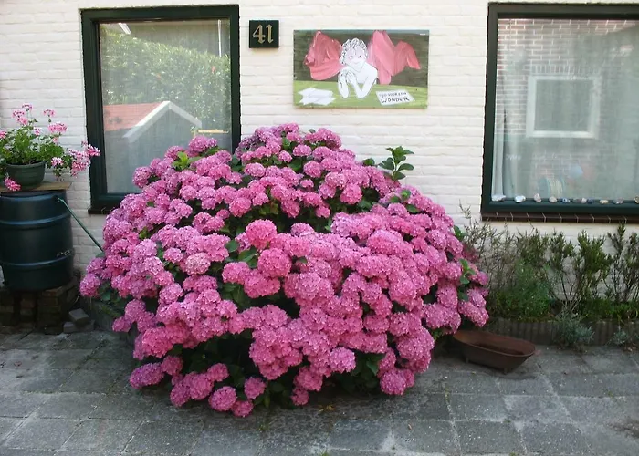 'flow' * ベルゲン